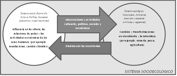Figura 3: Sistemas socioecol&oacute;gicos,
interacciones