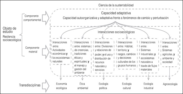 Figura 2: Transdisciplinas de la
ciencia de la sustentabilidad