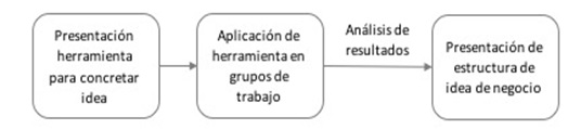 Figura 9. Sesiones estructuradas para consolidar idea de
negocio.