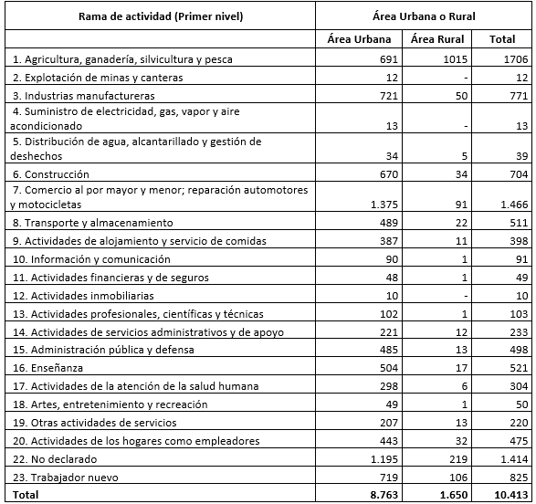 Rama de actividad de acuerdo al &aacute;rea urbana y rural.