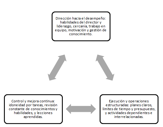 Aportes facilitadores para la evaluacin y gestin del desempeo en la organizacin a travs de la gestin por proyectos