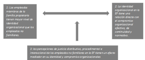 Supuestos te�ricos desarrollados
