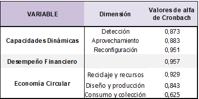 Valores de alfa de Cronbach por dimensi�n.