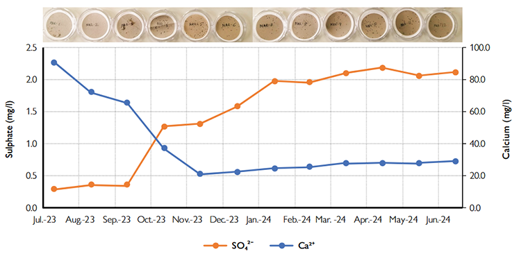 Variability of monthly water composition (dissolved sulphate and calcium, in mg/l) and sediment colour (from clear grey to clear brown and dark grey) from August 2023 to July 2024 in the Marbor� lake, Ordesa and Monte Perdido National Park.