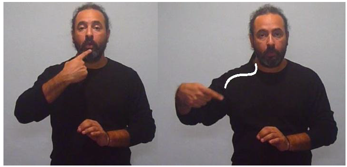 COLOR (ubicaci�n inicial y final de la se�a)