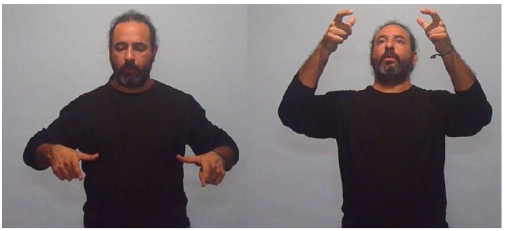 �RBOL-ALTO (ubicaci�n inicial y final de la se�a)