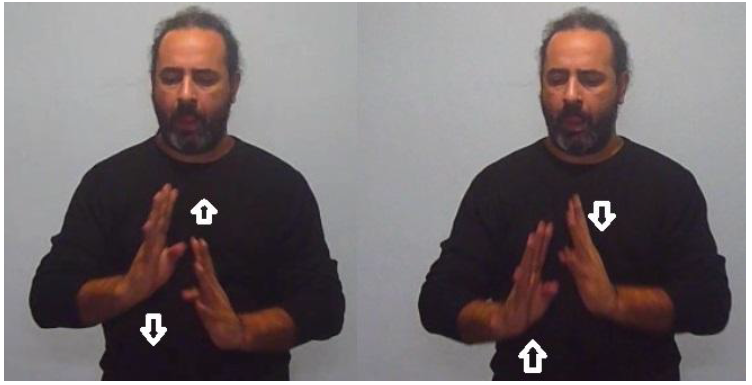 PASTO-CORTO (LE.af+HO.ad)