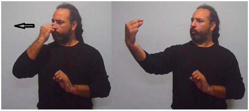 NARIZ-LARGA (ubicaci�n inicial y final de la se�a)