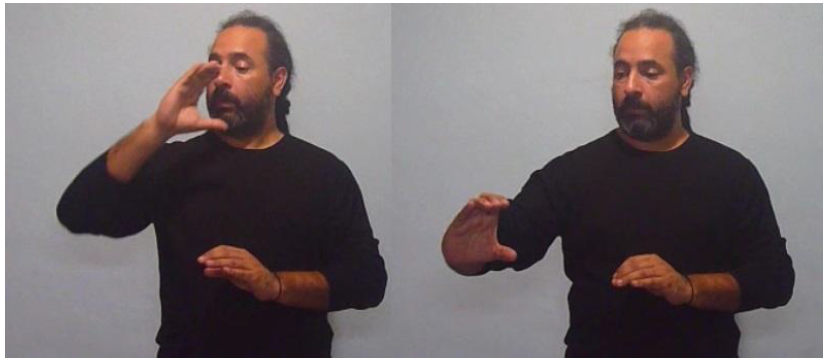 ELEFANTE (ubicaci�n inicial y final de la se�a)