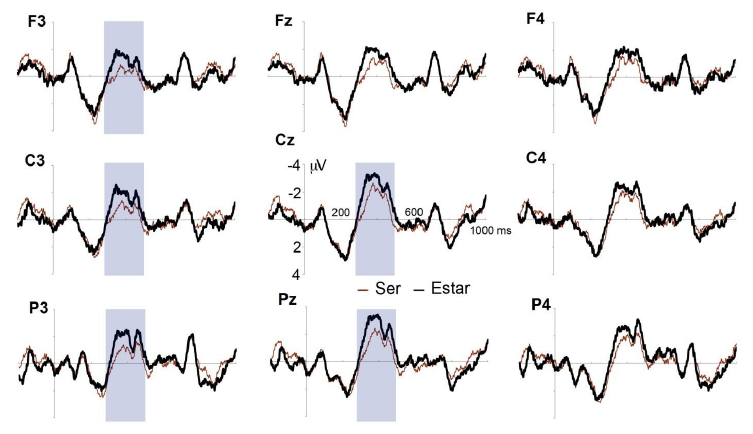 Grandes
promedios de los adjetivos cr&iacute;ticos precedidos por las c&oacute;pulas ser y estar.
