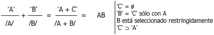 Representaci�n formal de una colocaci�n (Extra�do de Alonso Ramos, 1994: 26)