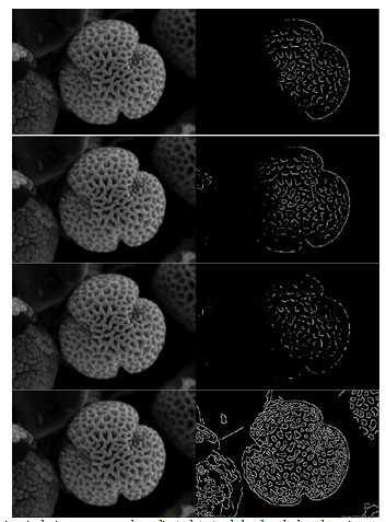 Imagen original a la izquierda, imagen procesada mediante detector de bordes a la derecha, primeramente se observa el detector de bordes de Prewitt, posteriormente el de Sobel, después el de Roberts y finalmente el de Canny.