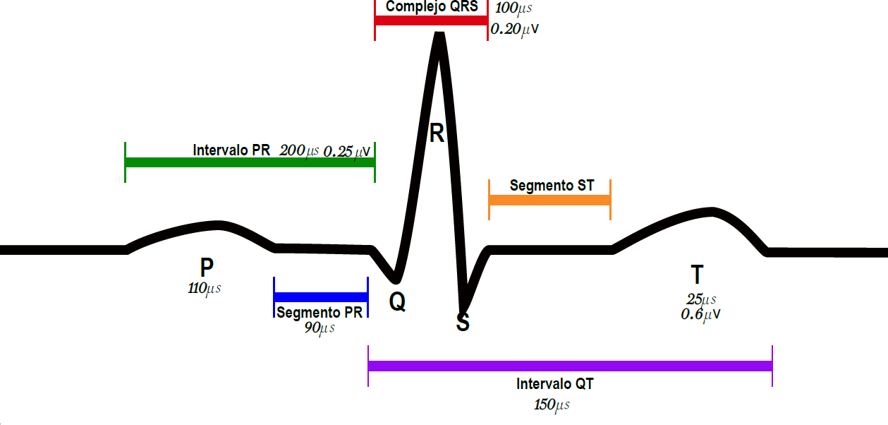Señal electrocardiográfica del corazón.