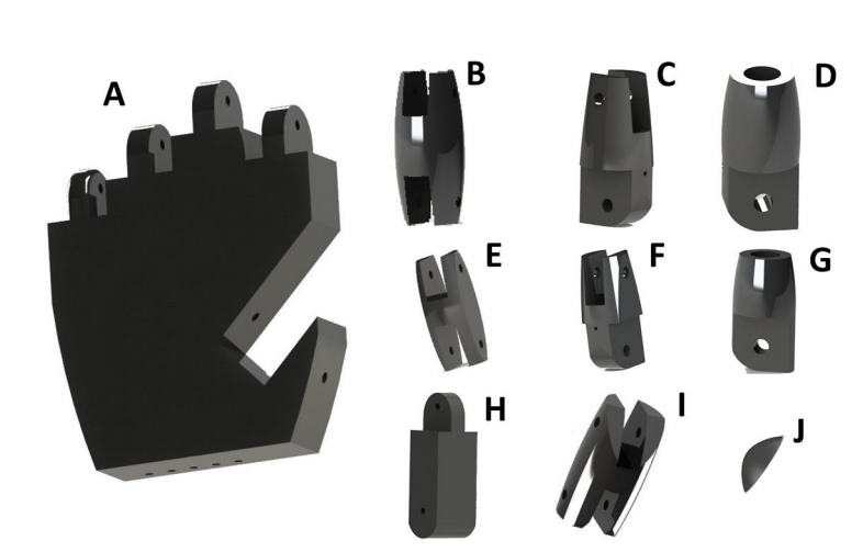 Figura 3