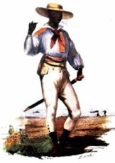 Figura 7