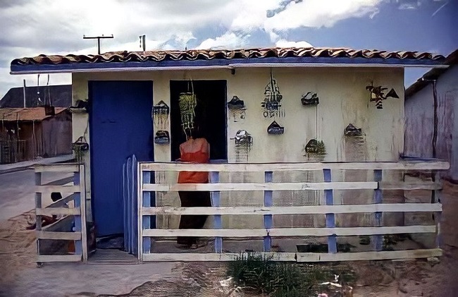 Casas de compensado do conjunto Joanes Centro Oeste (1982)