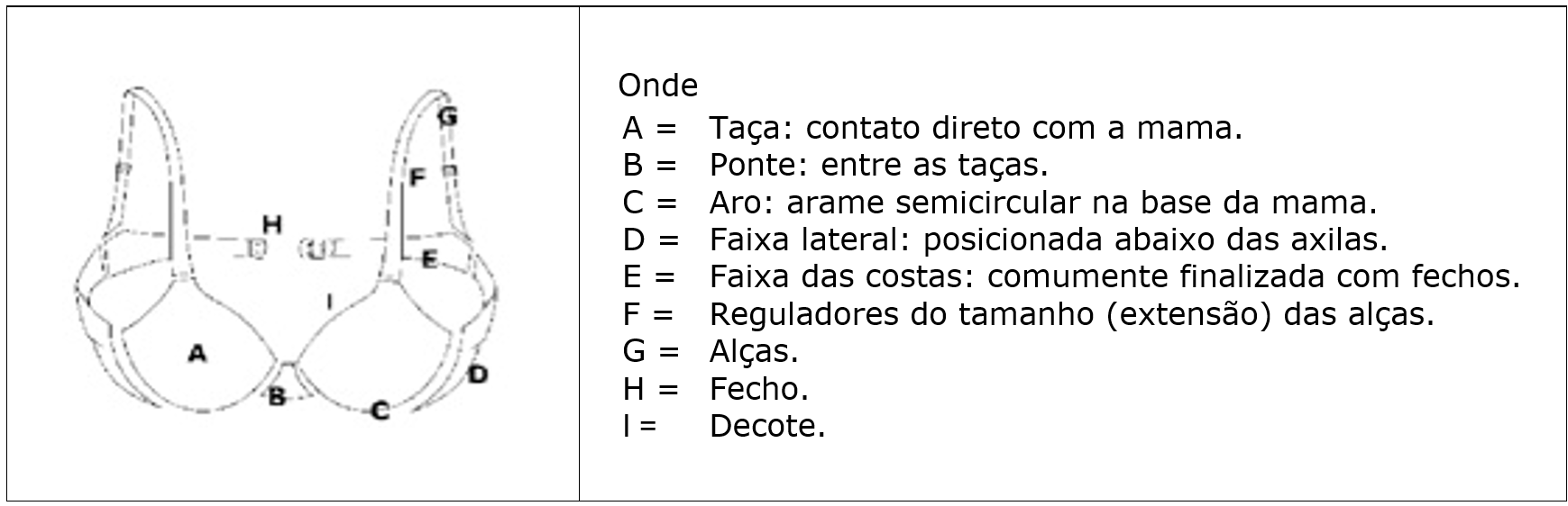  Estrutura básica do sutiã.