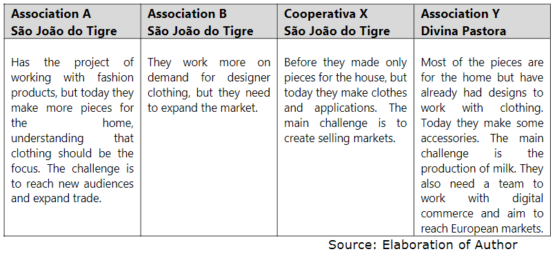 Challenges and Perspectives for Income Insertion in Fashion Products