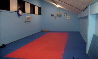 Figura 1 - Sala de Jiu jitsu e Jud&ocirc; (2016)