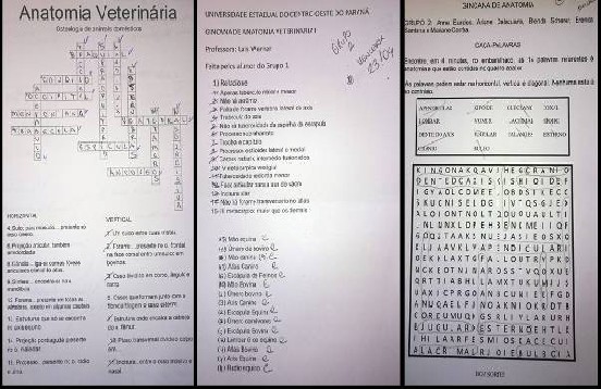 Figura 1 – Material utilizado nos jogos de aprendizagem elaborados pelos discentes do Projeto de extensão Anatomíadas. (a) Palavras Cruzadas, (b) Relacione e (c) Caça-palavras