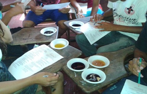 Figura 2 – Atividade de coloração das soluções nos diferentes alimentos.