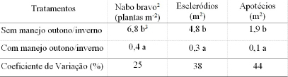 Tabela 1- Impacto do manejo outono/inverno na prolifera&ccedil;&atilde;o do mofo&shy; branco (Sclerotinia sclerotiorum) em sistema plantio direto dos Campos Gerais - PR, avaliado na instala&ccedil;&atilde;o da safra de ver&atilde;o, agosto a outubro de 2012