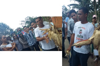Figura 2 - Agricultor mostrando milho produzido de semente crioula aos estudantes de agronomia da UEFS, na Fazenda Campos em Am&eacute;lia Rodrigues - BA, 2016.
