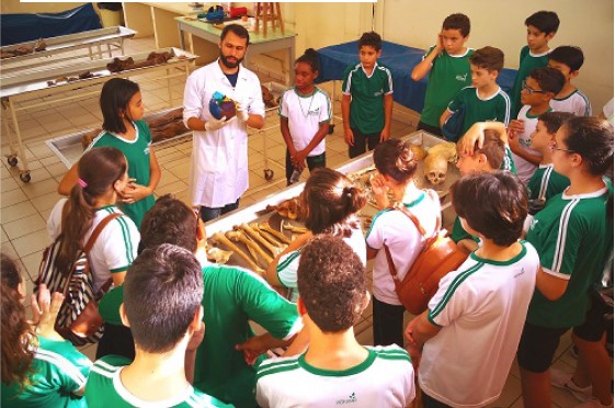 Figura 3 - Visita ao laboratório de peças cadavéricas da UEL.