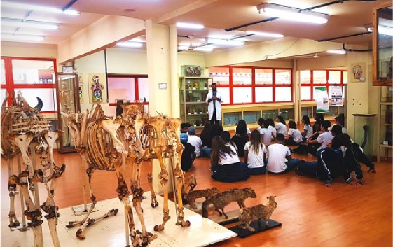 Figura 4 - Visita ao museu de Anatomia do Departamento da UEL.