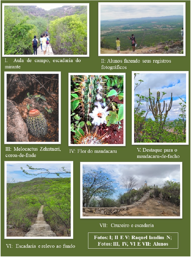 Figura 1: Pr�tica de campo e registros fotogr�ficos dos alunos