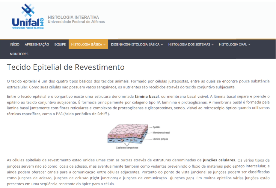 Figura 3: Texto informativo sobre o tecido epitelial de revestimento.