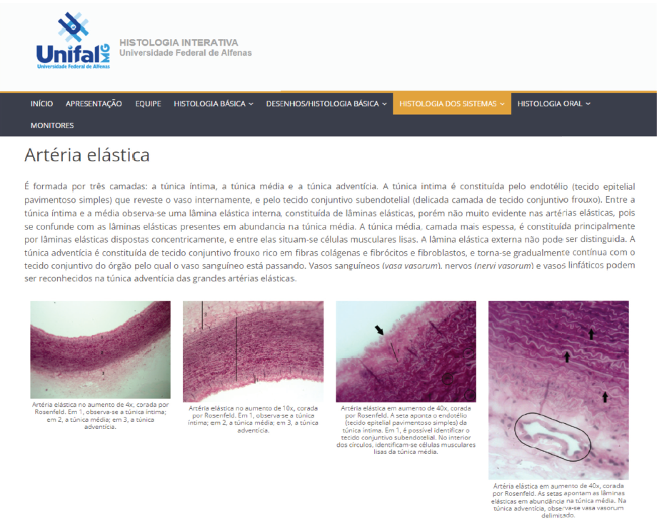  Figura 5: Fotomicrografia das lminas sobre o sistema circulatrio.