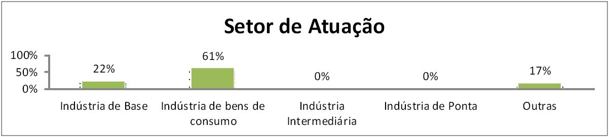 Setor de atuação