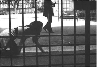 Orlan: MesuRage de la rue Chateaubriand à Nice.
