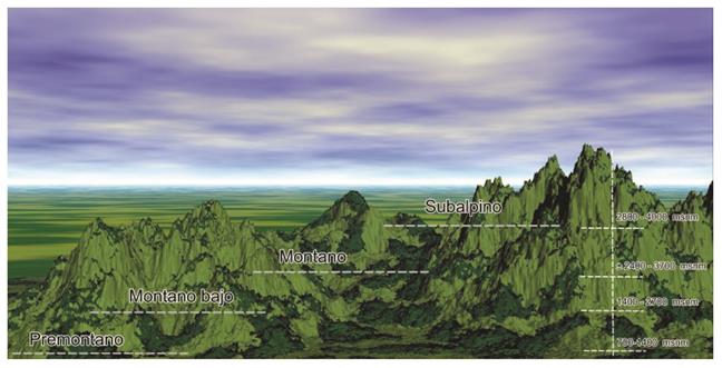 Distribuci&oacute;n de las zonas de vida en base a la altitud, en metros sobre el nivel del mar para los pisos altitudinales en Costa Rica.
