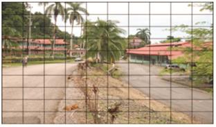 Cuadrícula sobre fotografía.