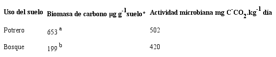 Variaci&oacute;n en la biomasa de carbono y la actividad microbiana en el suelo