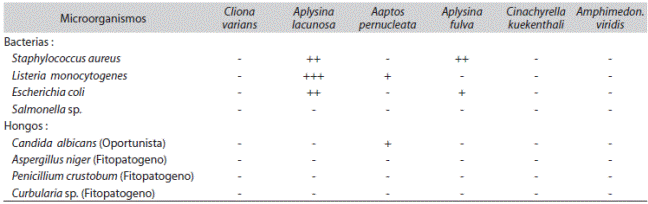 Actividad antimicrobiana de las fracciones solubles en acetato de etilo