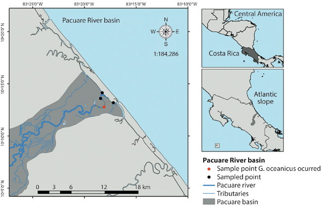 Sampling sites in the lower Pacuare River basin, Atlantic slope, Costa Rica, 2016.