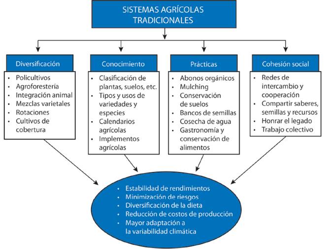 Características socio-ecológicas de los sistemas agrícolas tradicionales que confieren resiliencia al cambio y otros beneficios.