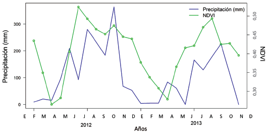 Comportamiento temporal de la precipitación de la zona bajo estudio y los valores de NDVI para los años 2012 y 2013.