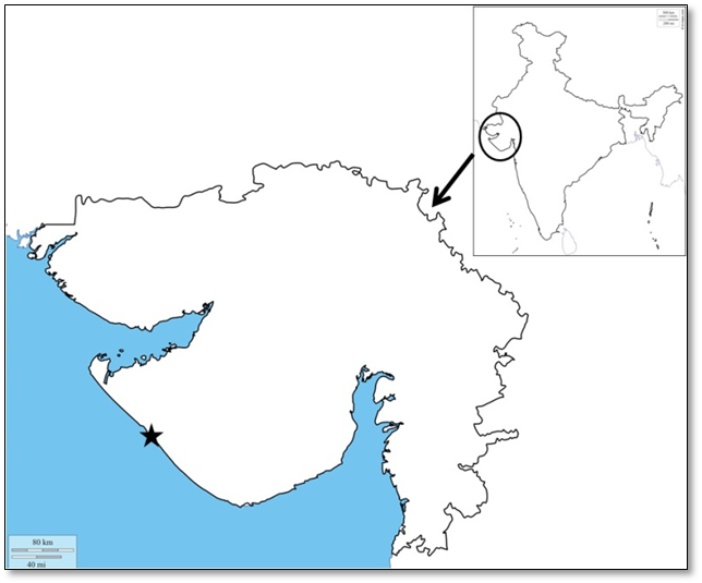 Fig.1. Study area showing Porbandar (*) from where the specimens were collected.