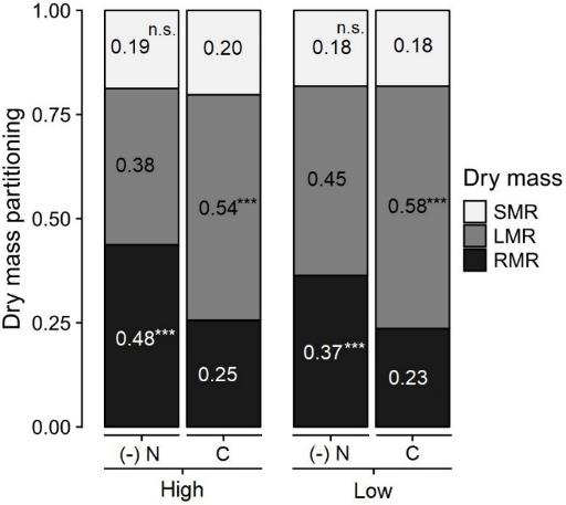 Fig. 2. Dry mass partitioning for all combinations of light-deficiency treatments ((-)N: nitrogen deficiency; C: complete solution; light: High and Low), from the fourth week of growth of S. lycopersicum.SMR: shoot-to-total dry mass ratio; LMR: leaf-to-total dry mass ratio; and RMR: root-to-total dry mass ratio. ***: P<0,001, asterisks’ position inside deficiency treatment ((-)N or C) by each light levels (High or Low) and dry mass partitioning, marks greater trend and statistically significant difference between deficiency treatment (Fisher's LSD, P<0,05), n.s.: not significant. Statistical analyses are given in Table 1.