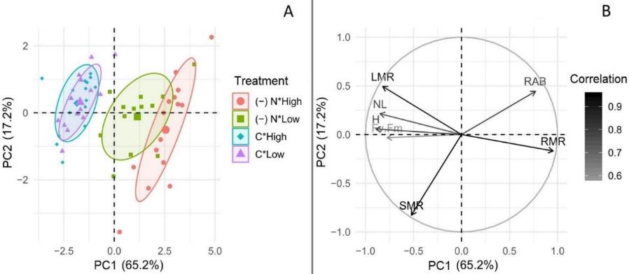 Fig. 5. The first two axes of a principal component (PC) analysis for all combinations of light-deficiency treatments ((-)N: nitrogen deficiency; C: complete solution; light: High and Low), from the fourth week of growth of S. lycopersicum. A) Correlation coefficients for all traits are represented by eigenvectors (solid arrows). B) Segregation of the tomato plants following relative scores of the groups based on the four treatment-combinations in relation to the two principal components (PC1 and PC2). The ellipsis represents the interval confidence (α=0,05) for each treatment-combination.