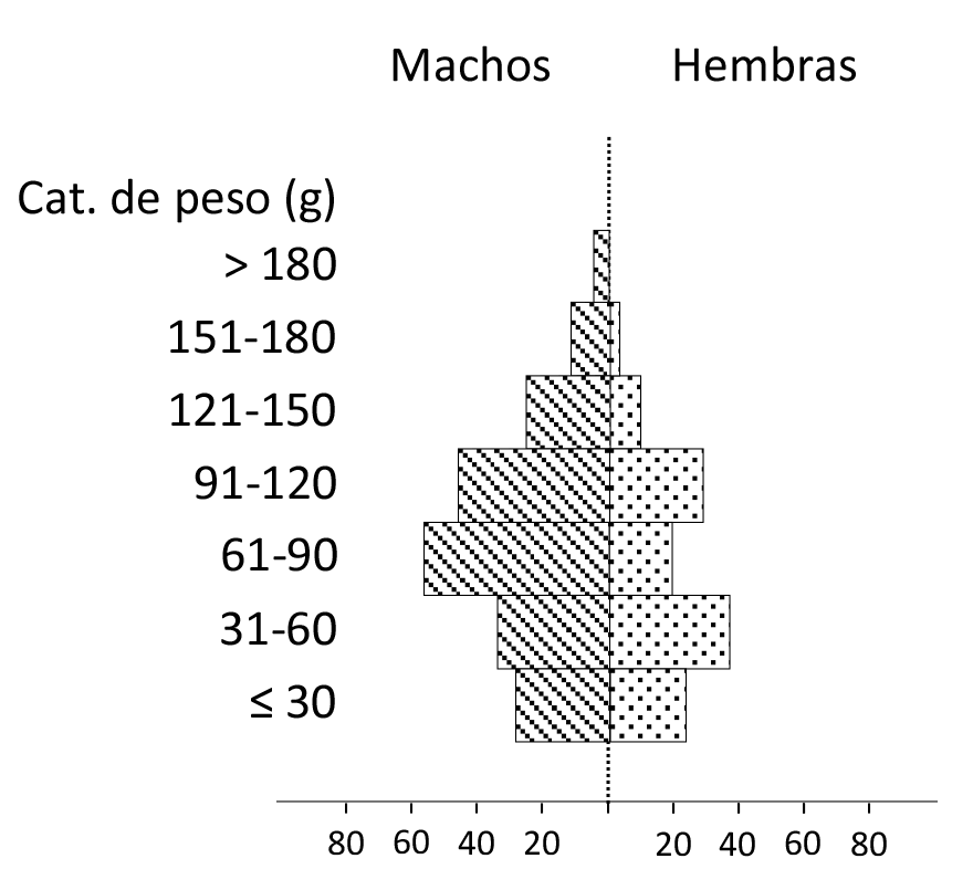 Fig. 2. Estructura poblacional de S. hirsutus