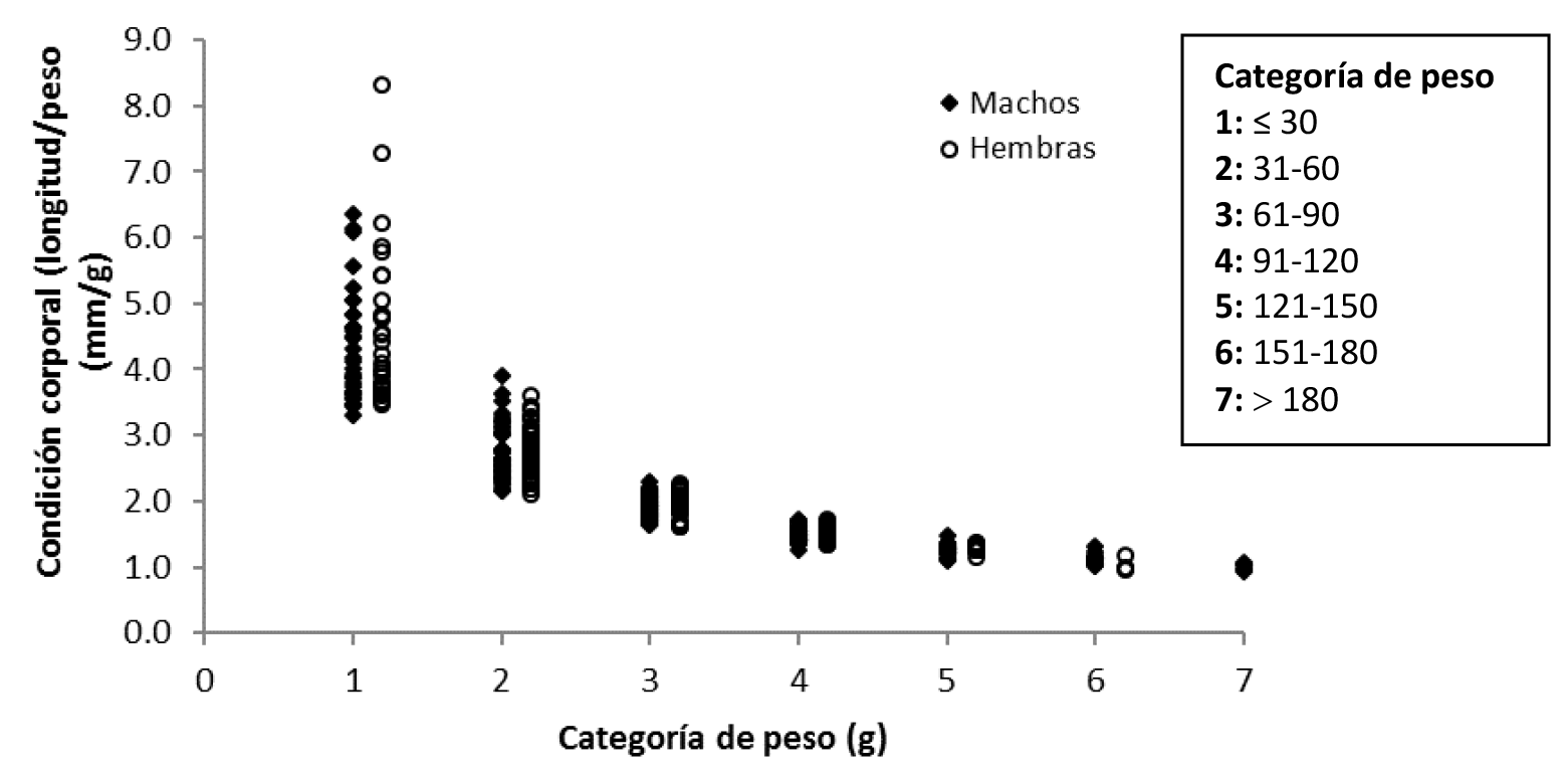 Fig. 4. Condición corporal de S. hirsutus por categoría de peso
