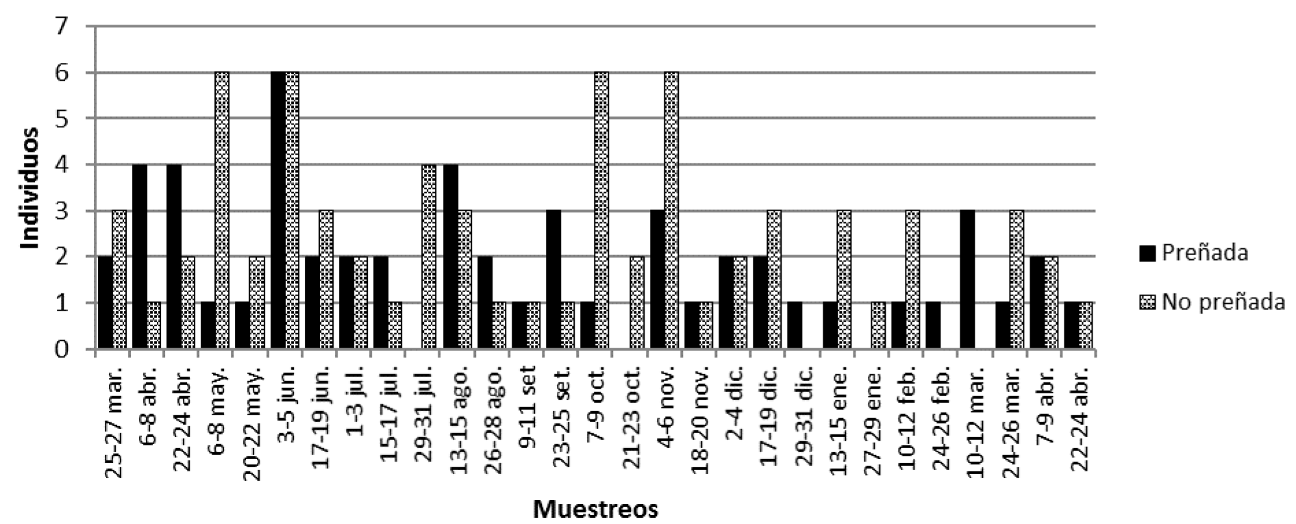 Fig. 5.  Capturas de hembras de S. hirsutus  preñadas y no preñadas