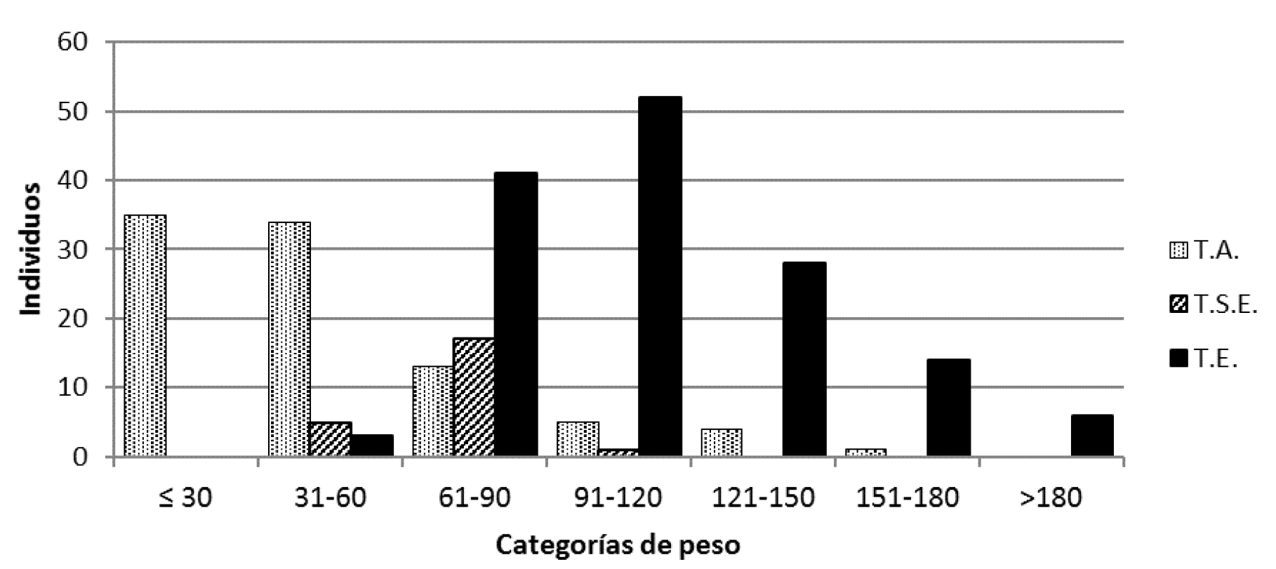 Fig. 7. Posición testicular de S. hirsutus según categoría de peso