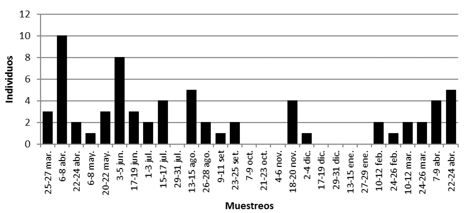 Fig. 8. Capturas de jóvenes de S. hirsutus