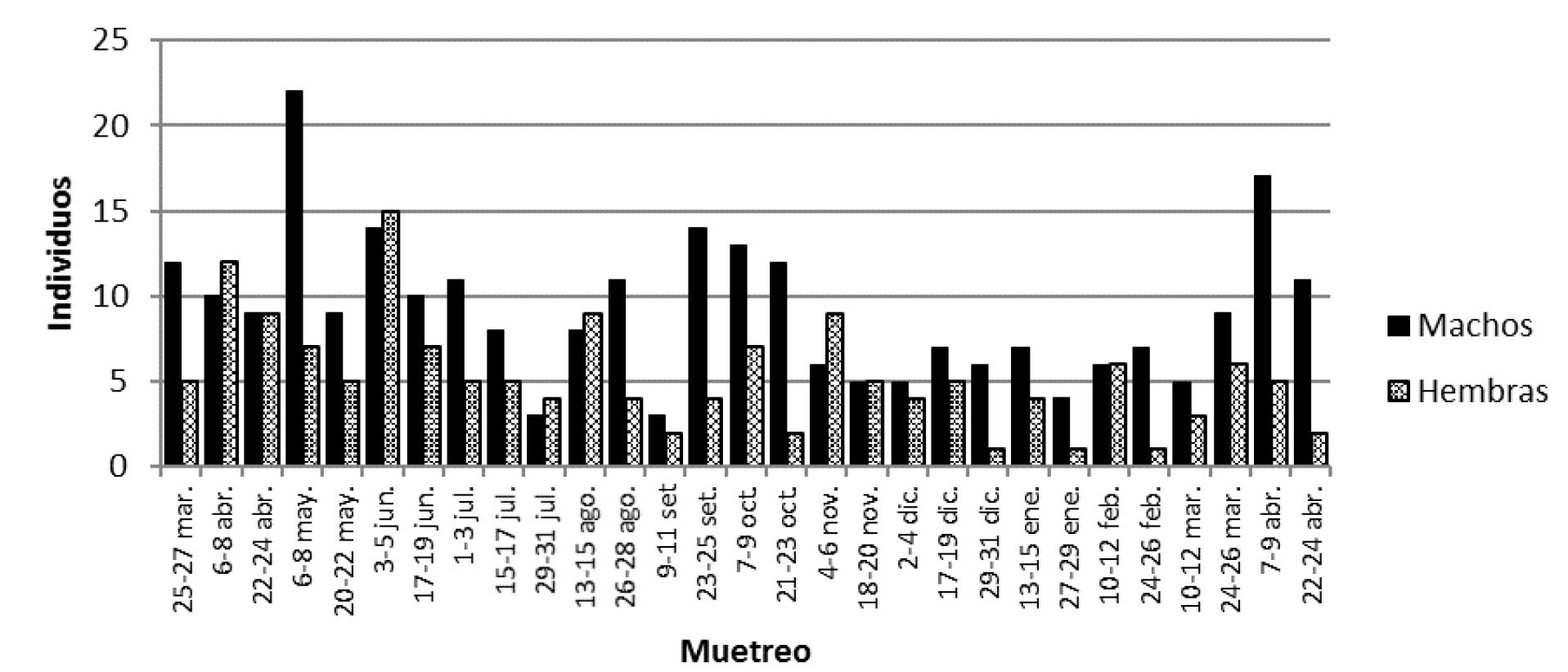 Fig. 1. Capturas de machos y hembras de S. hirsutus por muestreo.